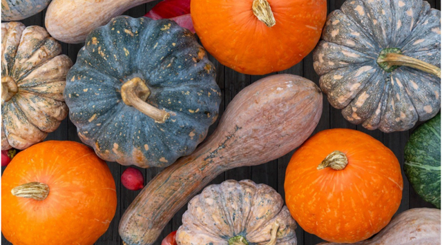 Fresh pumkin Color Vibrant Orange Packaging In bags of 25 kg Place of Origin Made in Uzbekistan Texture Superior Taste And Texture - Image 2